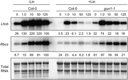 Figure 7.