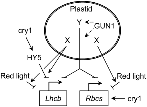 Figure 10.