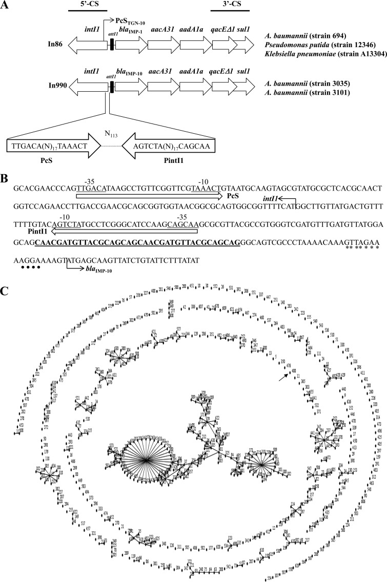 FIG 1