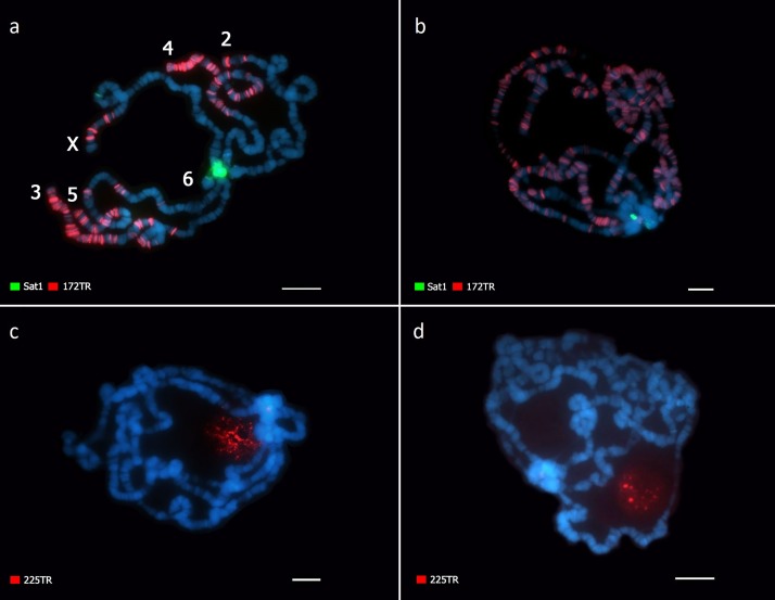 Fig 3