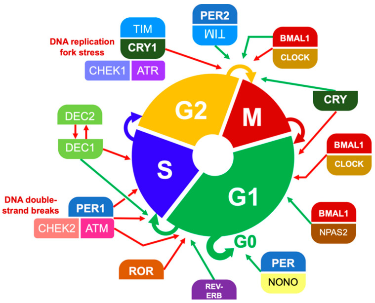 Figure 6