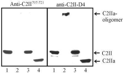 FIG. 8