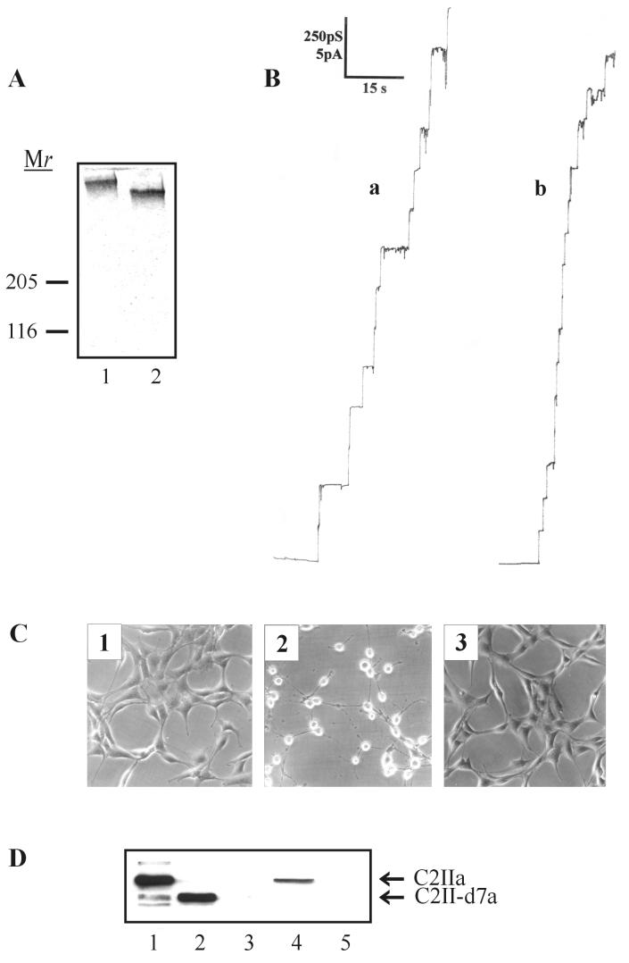 FIG. 7