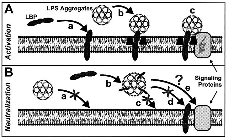 FIG. 7