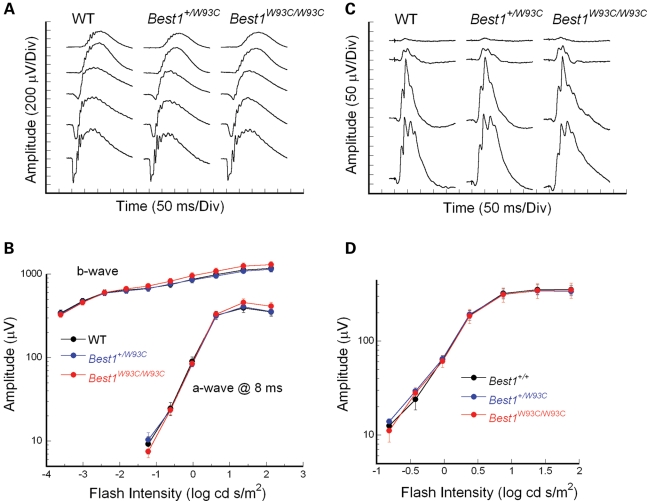 Figure 2.