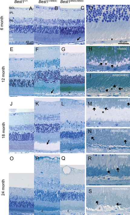 Figure 4.