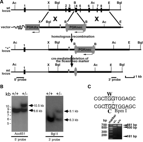 Figure 1.