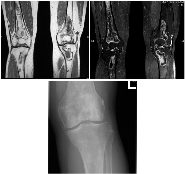 Fig. (2)