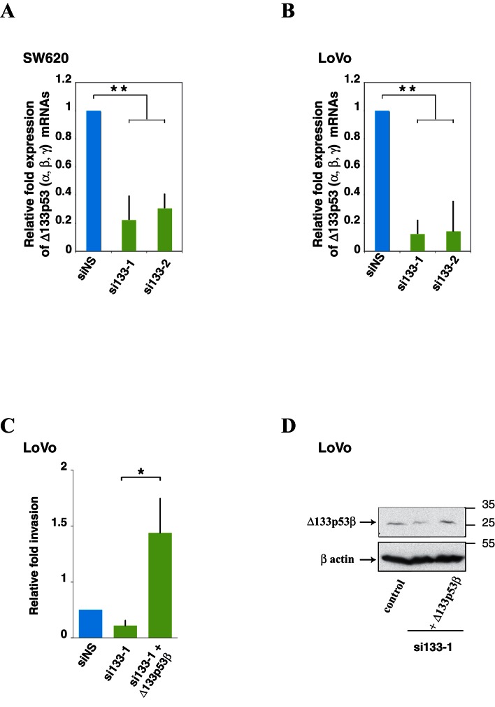 Figure 4—figure supplement 1.