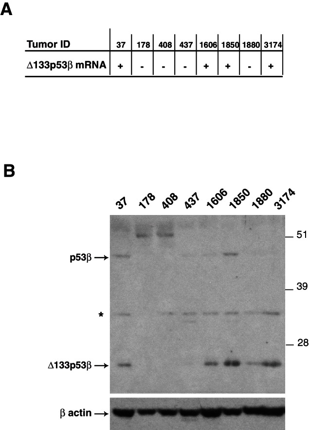 Figure 1—figure supplement 2.