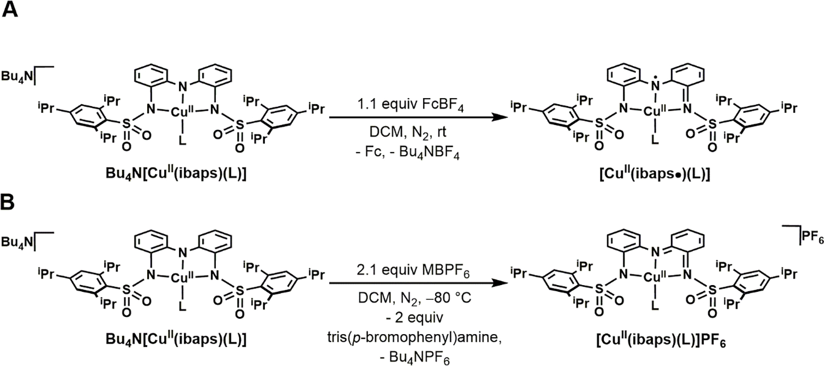 Scheme 2.