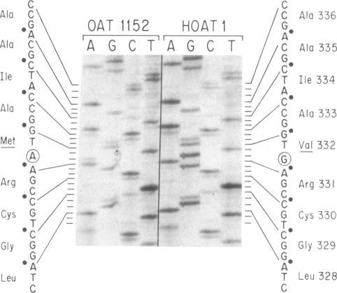 graphic file with name pnas00263-0126-a.jpg