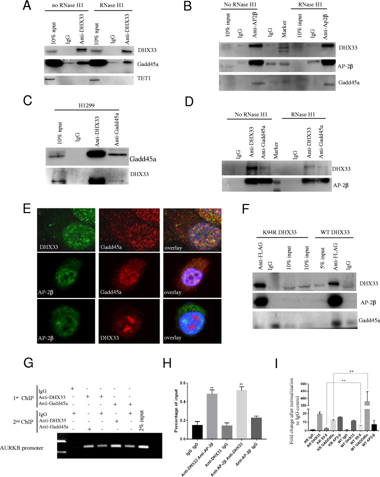 FIG 6