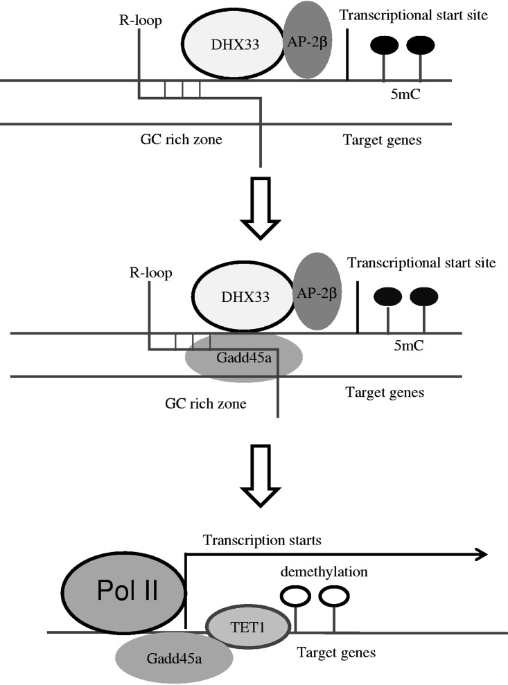 FIG 10