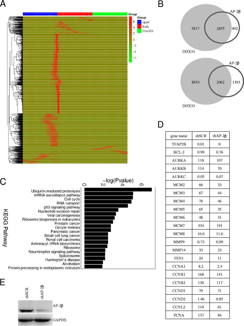 FIG 3