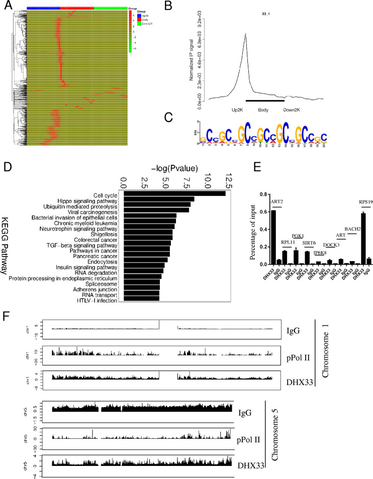 FIG 2