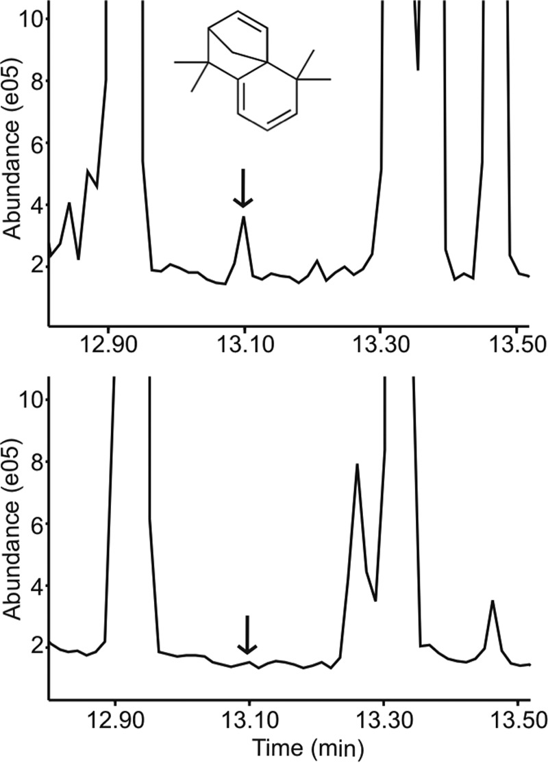 FIG 2 