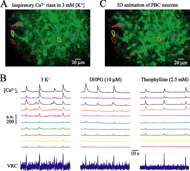 Figure 12.