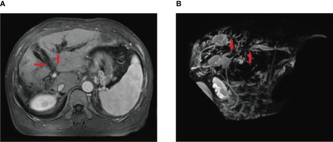 Figure 3