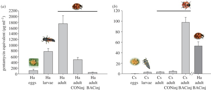 Figure 1.