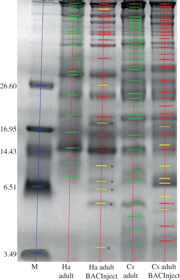 Figure 2.