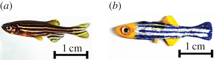 Figure 2.