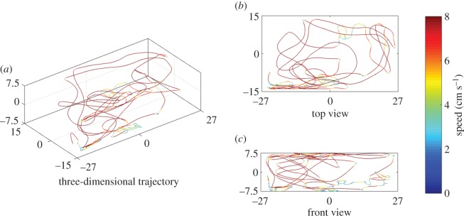 Figure 4.