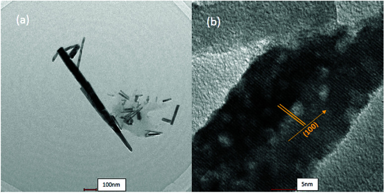 Fig. 8