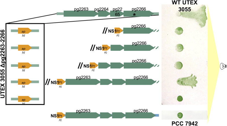 FIG 5