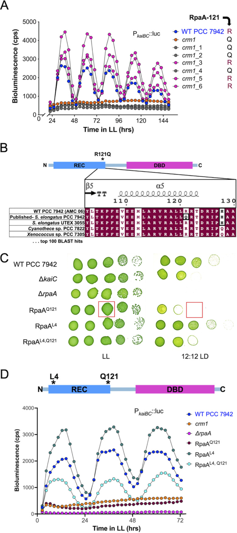 FIG 6