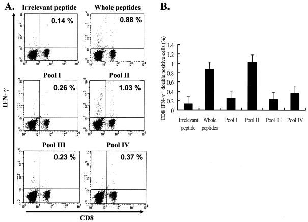 FIG. 2.