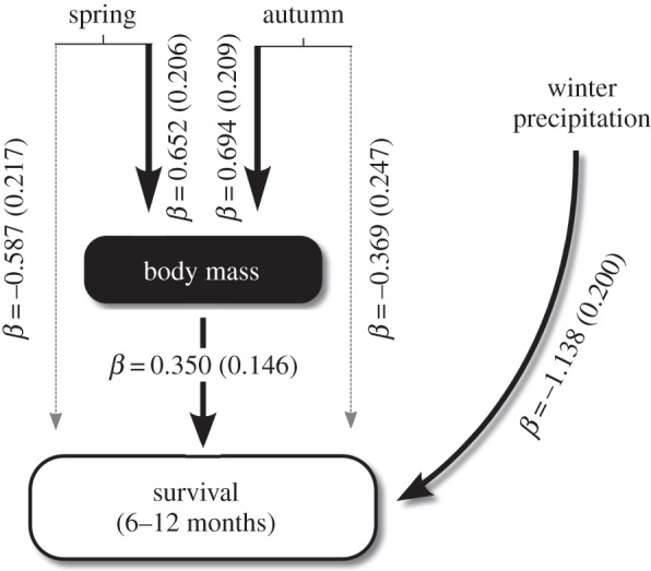 Figure 3.