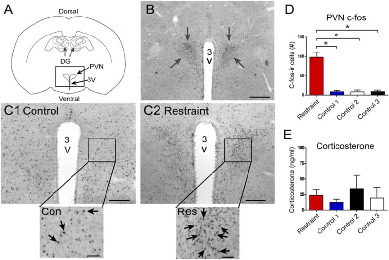 Fig. 9