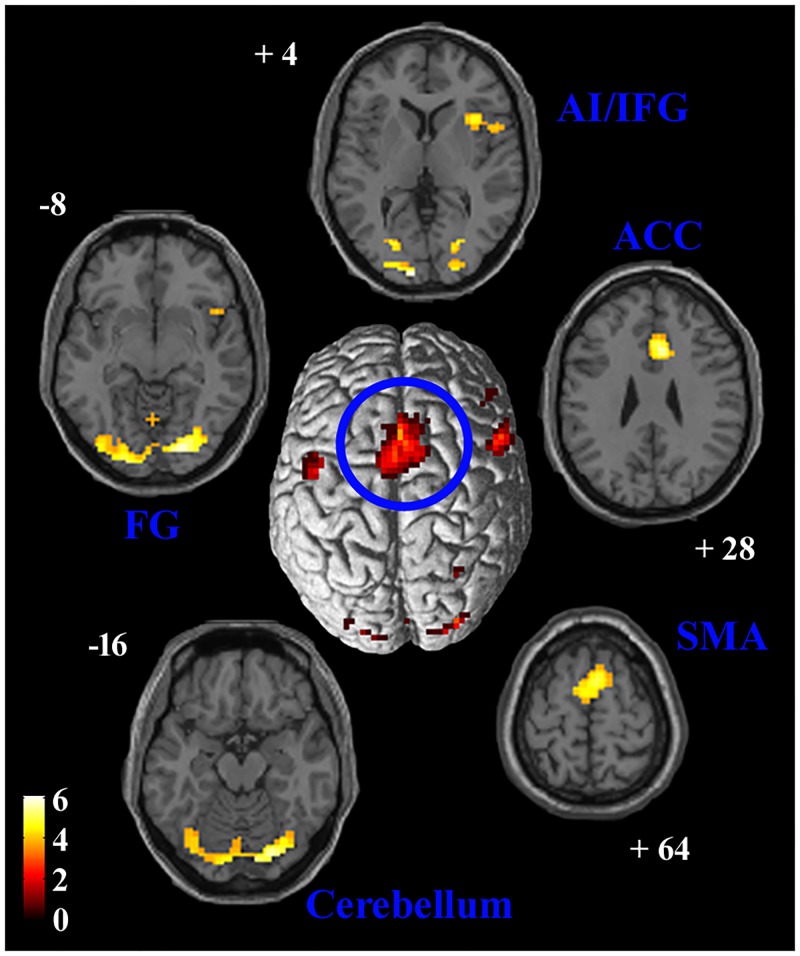 Fig 5