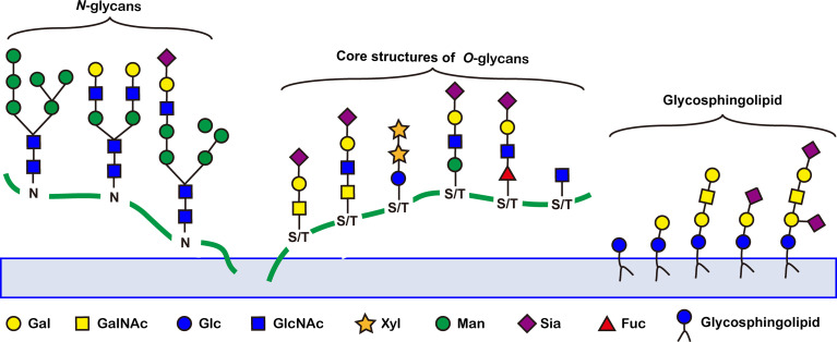 Figure 2