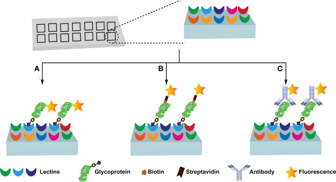 Figure 4