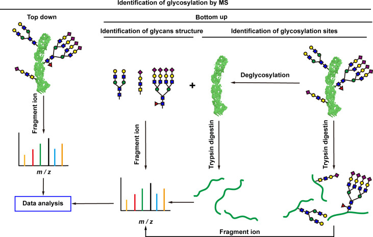 Figure 5