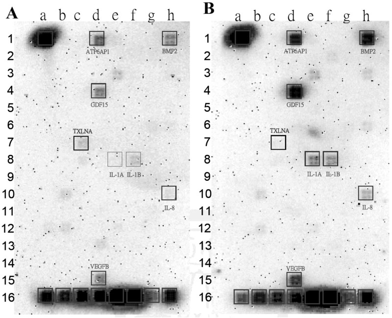 Fig 6