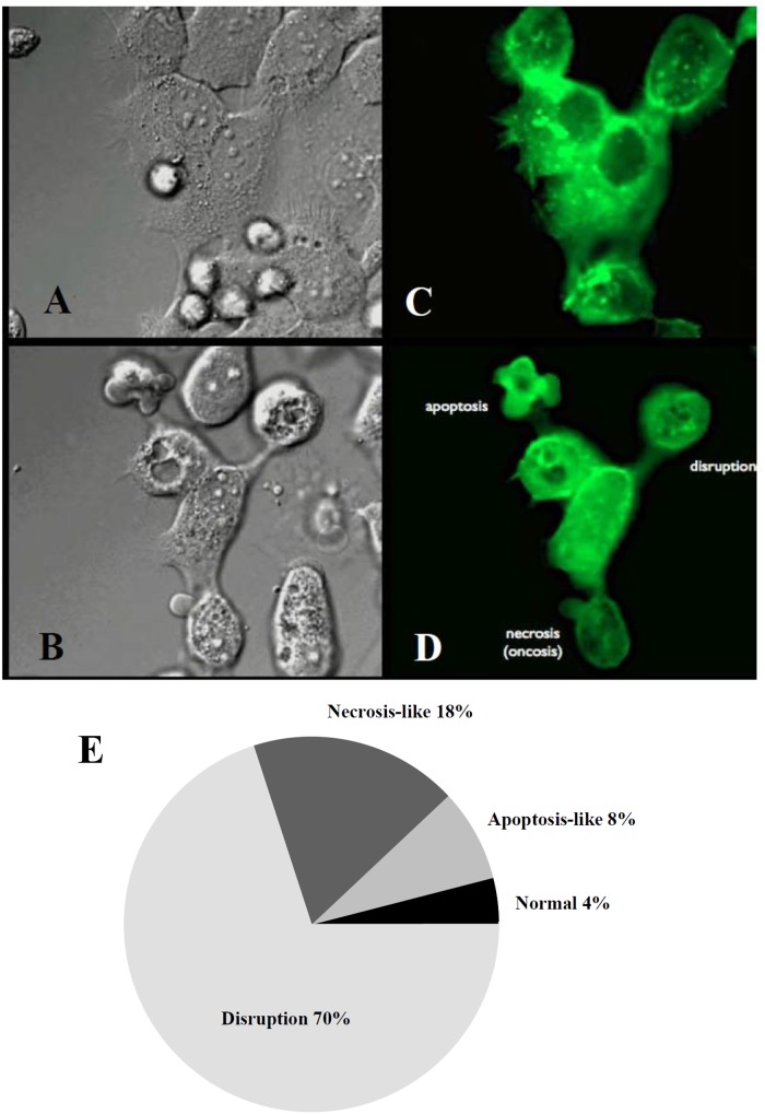 Fig 4