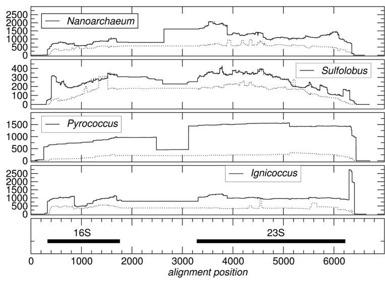 graphic file with name rna-10-1204-g1.jpg