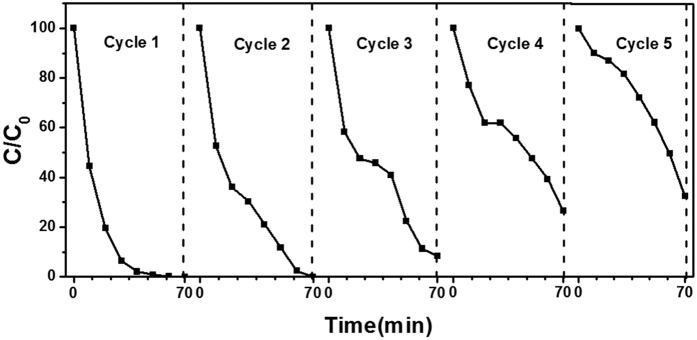 Figure 8