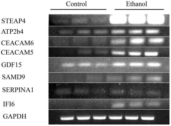 Figure 6