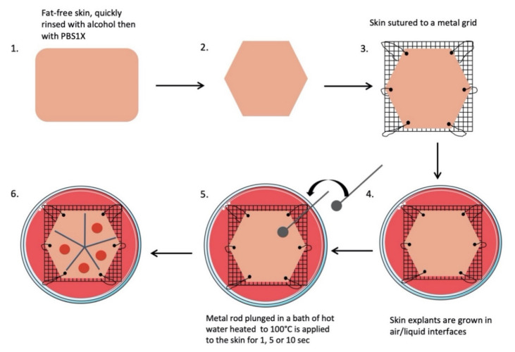 Figure 9