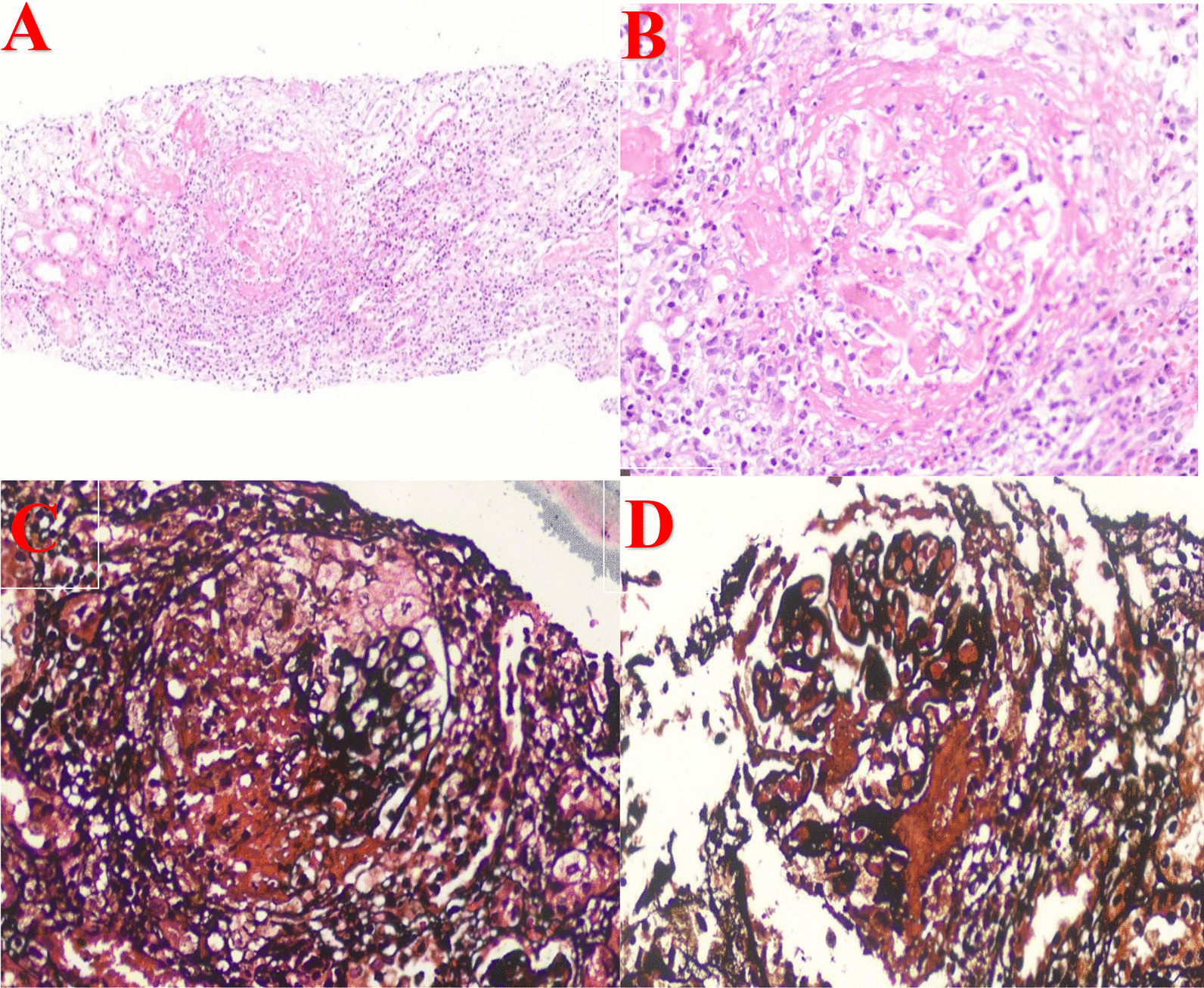 Fig. 4