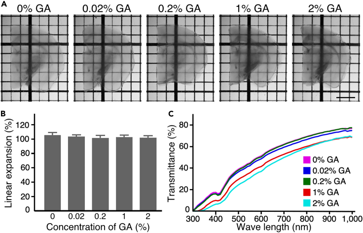 Figure 3