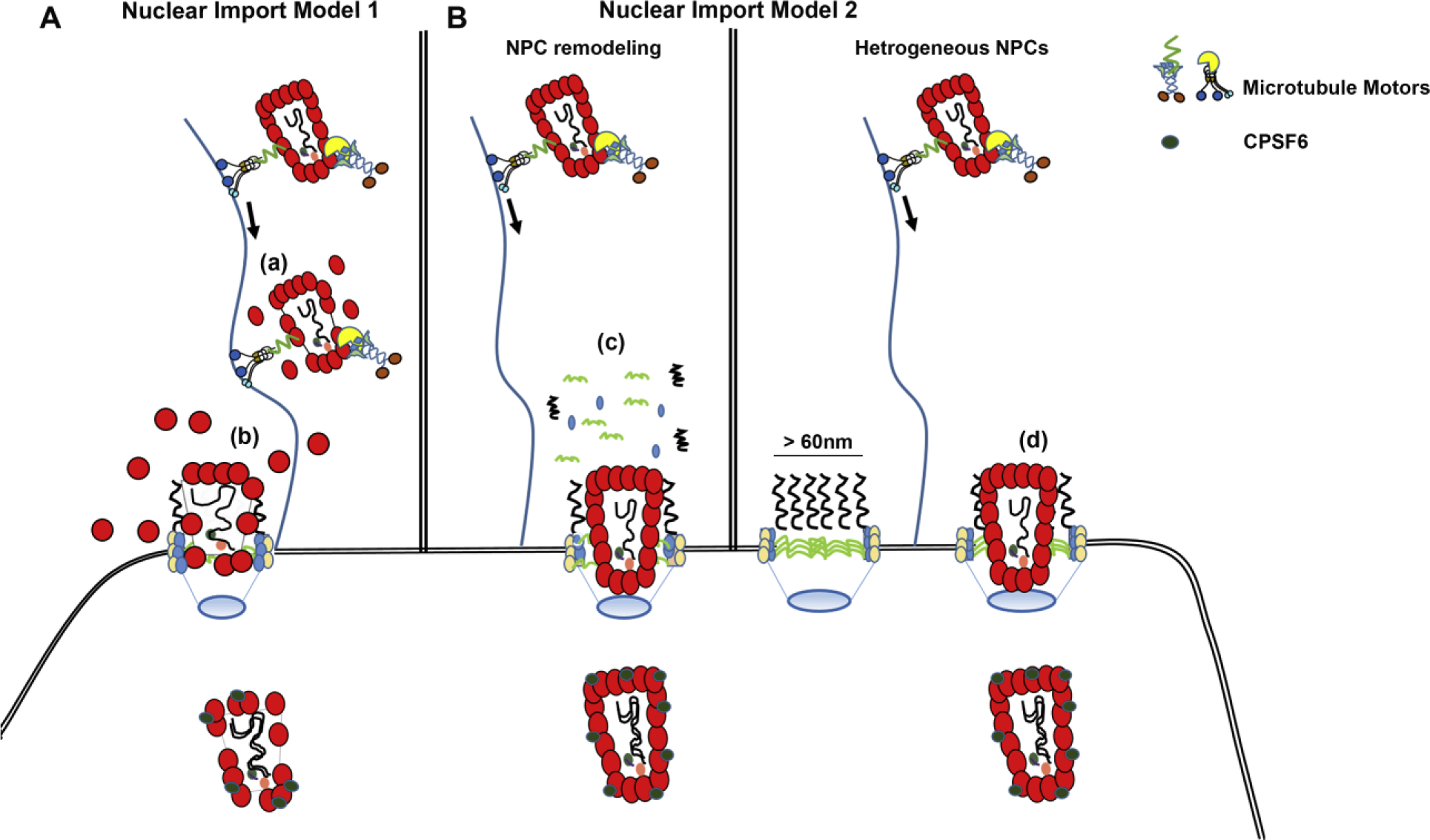 Figure 1: