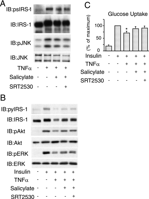 FIG. 9.