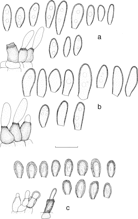 Fig. 5