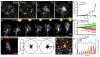 Fig. 8