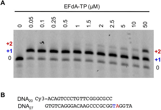 Fig. S6.